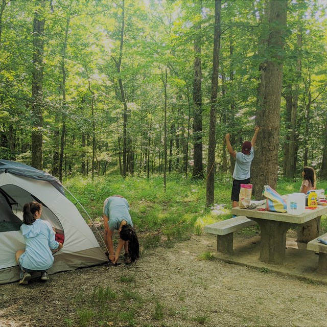 ## Mammoth Cave Camping: A Budget-Friendly Family Adventure