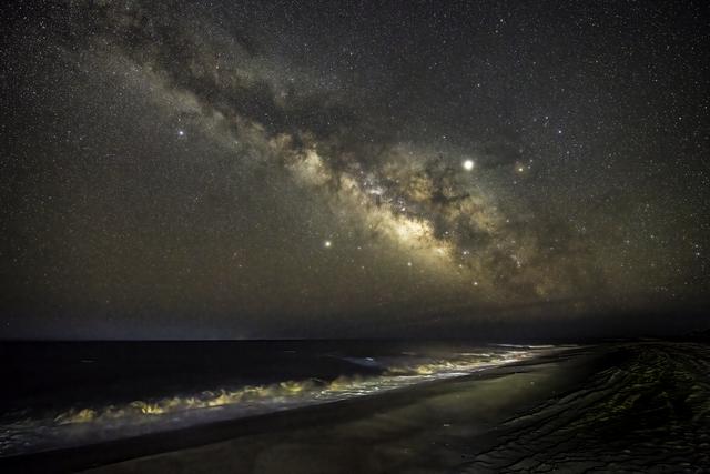 A variety of shorebirds foraging on the beach