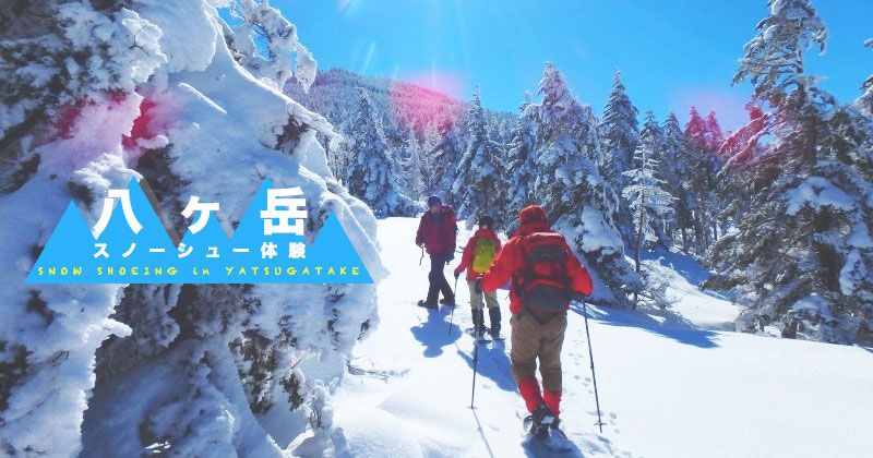 A person snowshoeing on a snowy trail, surrounded by trees.