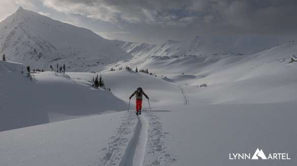 A vast, snow-covered meadow in Banff National Park, with distant mountain peaks and a clear blue sky. This serene landscape showcases the untouched beauty and potential for backcountry skiing adventures in the region.
