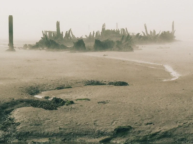 Featured image of the Skeleton Coast landscape, showcasing the desert meeting the ocean with a blanket of fog.