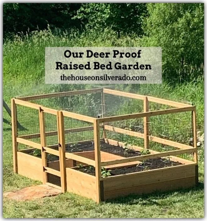 A close-up of a well-maintained, raised garden bed, exemplifying the success of pest control strategies.