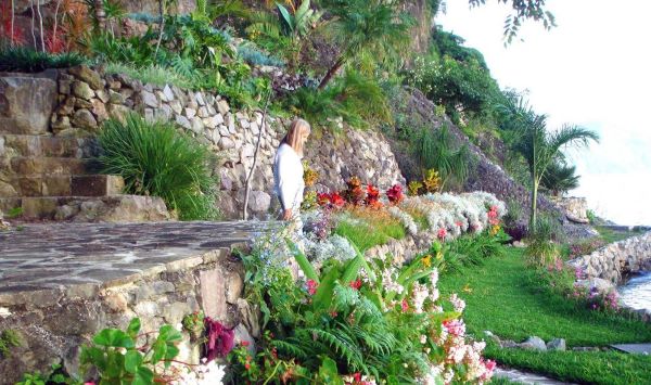 # Tanna Island: Tradition Erupts – An Anthropologi...