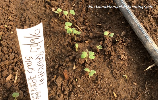 From Garden to Table: Preparing Your Bountiful...