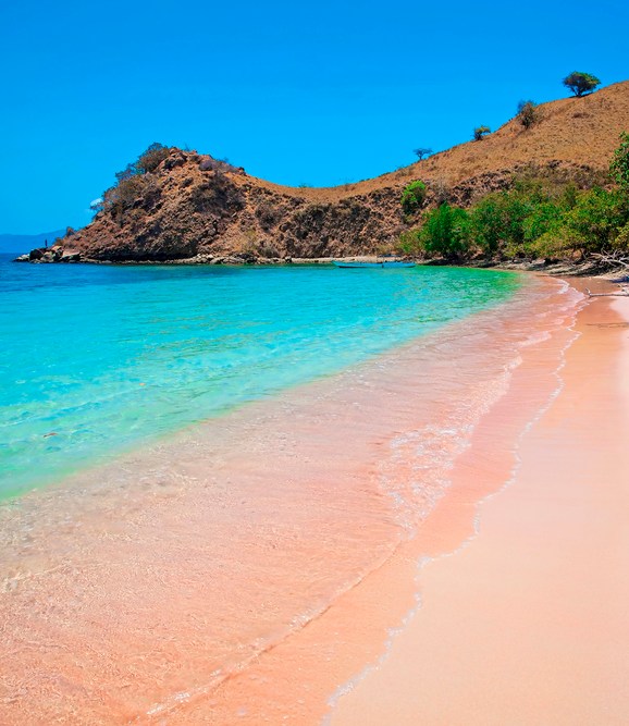 Cage-free shark diving in South Africa