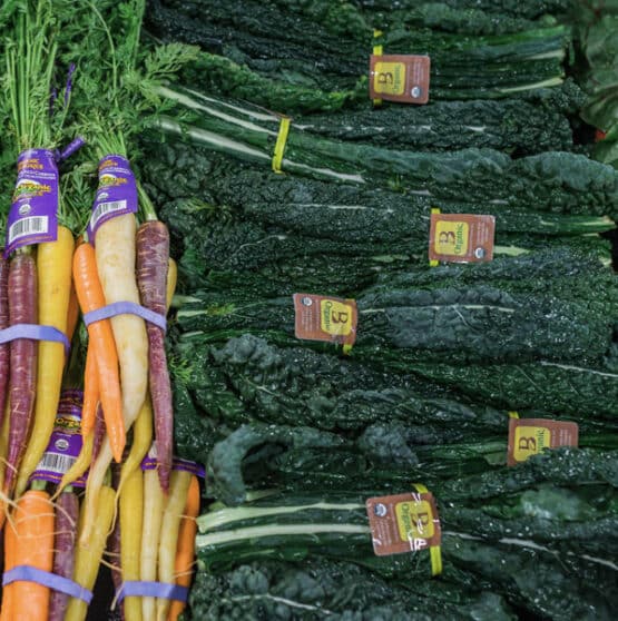 From Garden to Table: A Beginner's Guide to Dry...