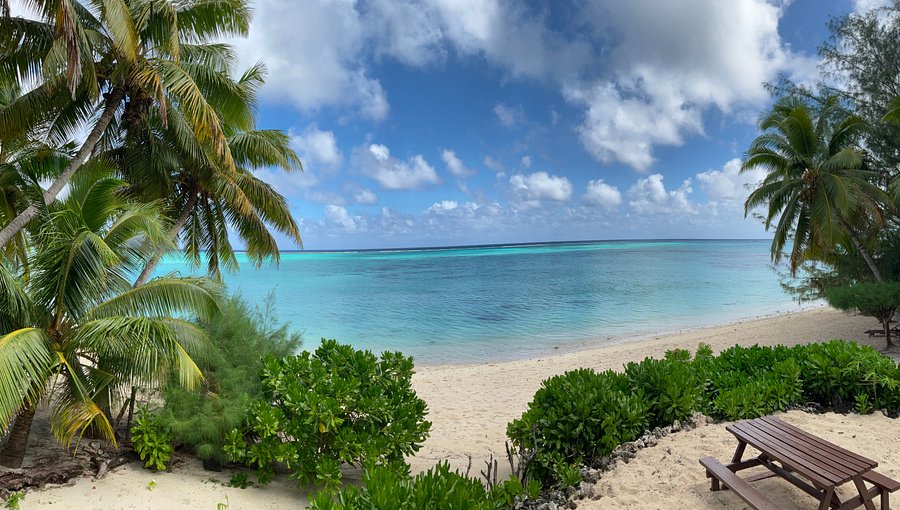 # Returning Home: Reconnecting with Culture and Co...