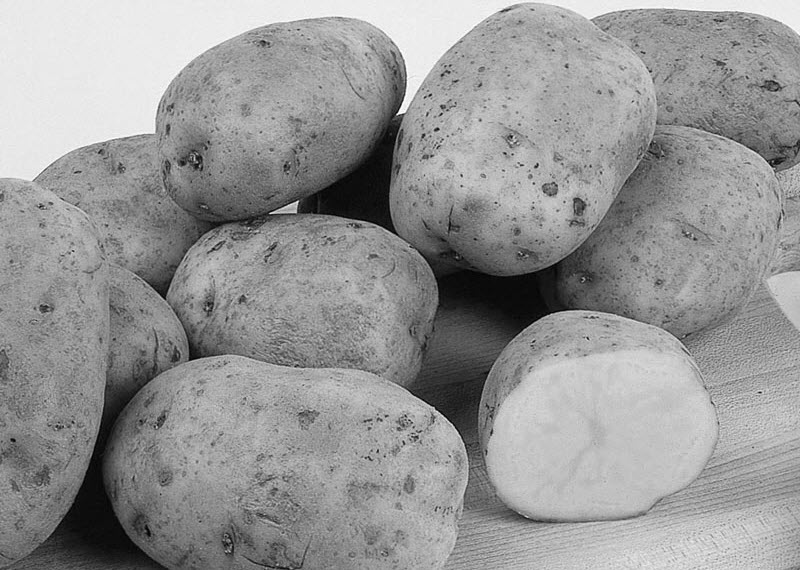 Save Your Spuds: Building a Budget-Friendly Pot...