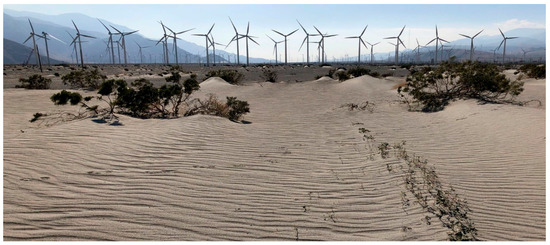 Campfire cooking scene in the Mojave Desert at twilight