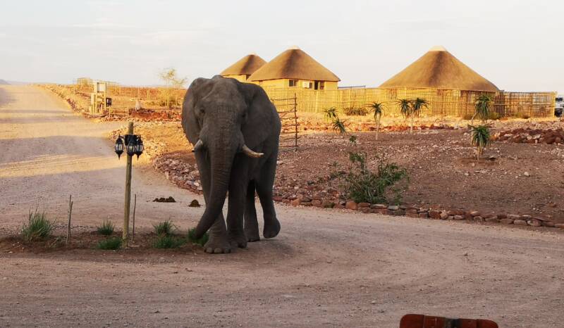 Eduard Bohlen Shipwreck