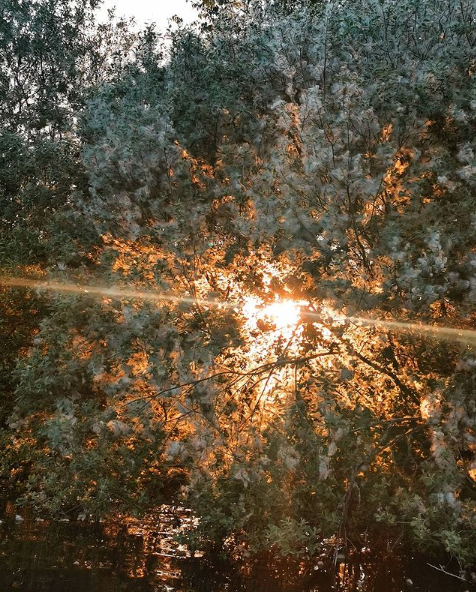 # Find Your Inner Peace: A Mindful Journey Through...