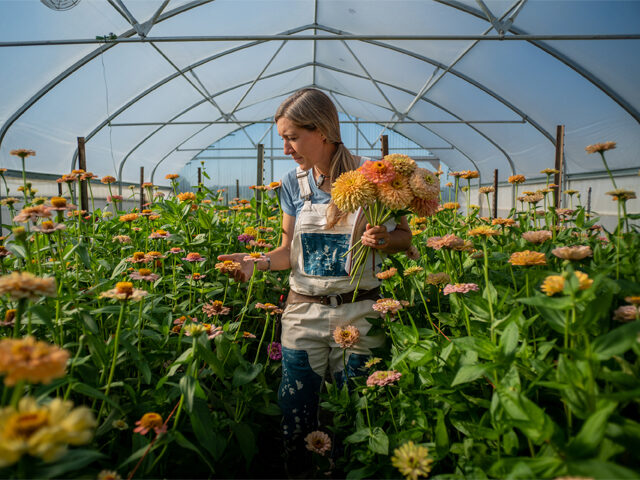Beyond Beauty: Companion Planting for a Thrivin...