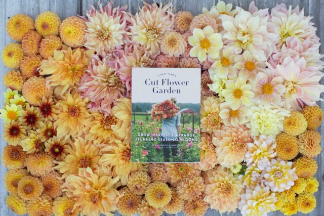 A picture of a book about dahlias, showing the gardening aspect of the blog