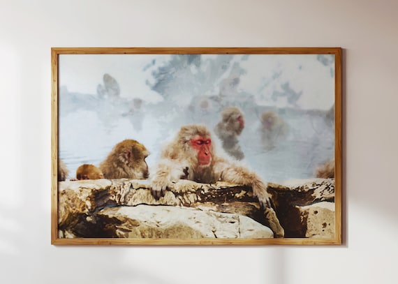 Heli-skiing in Asahidake