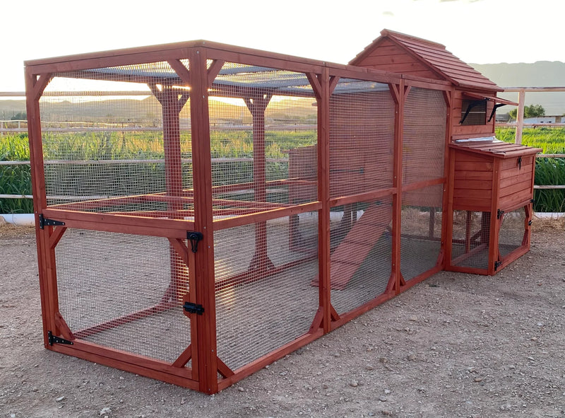 From Pallet to Paradise: Building a DIY Rhode I...