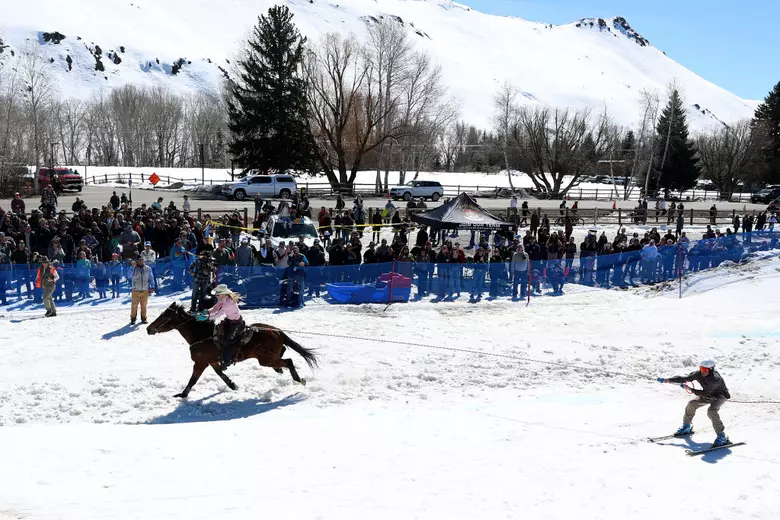 A skier being pulled by a horse at full speed across a snowy course in Montana.