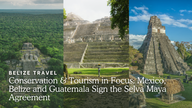 Hotel Matilda's Moxi restaurant featuring farm-to-table dining