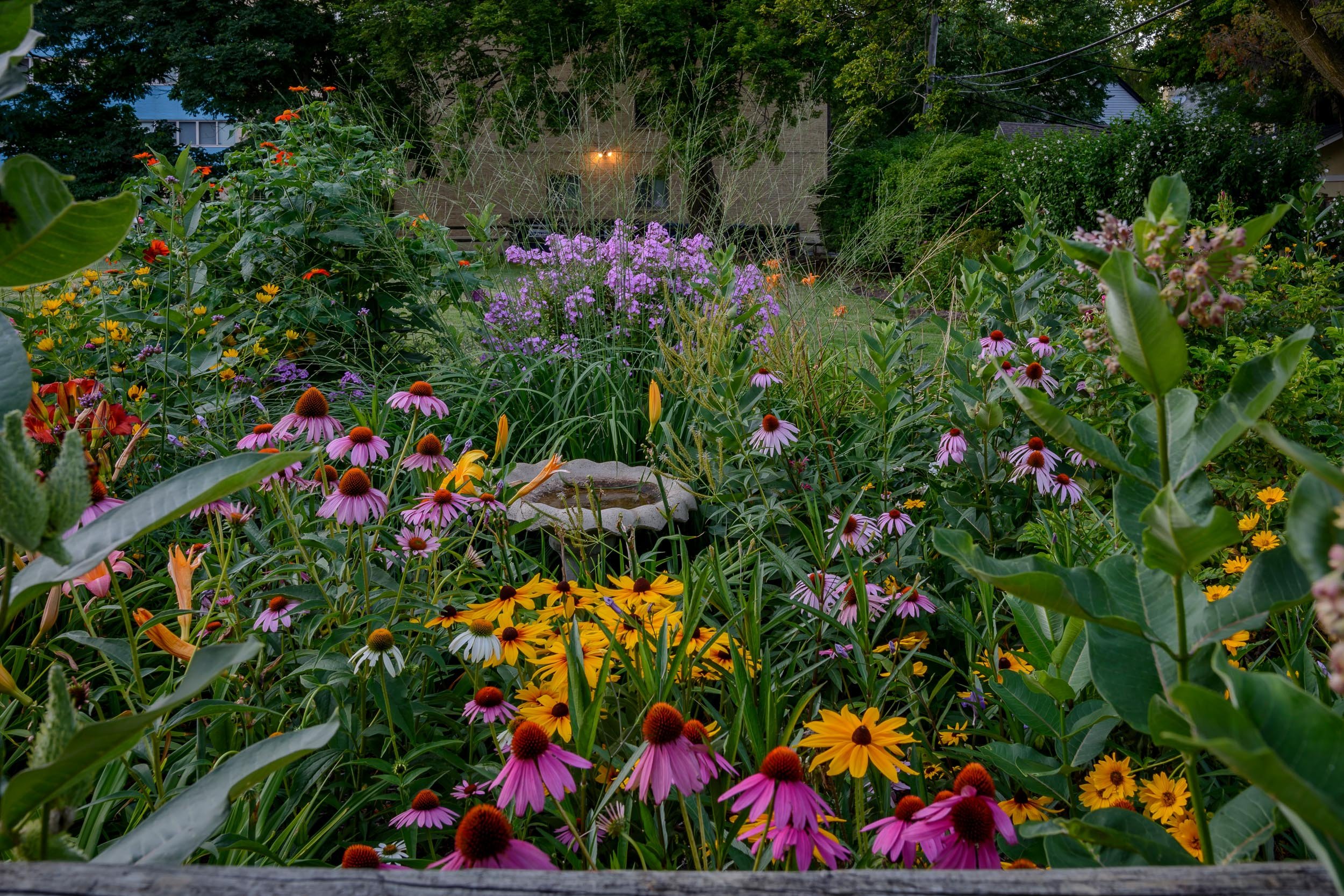 Beyond the Bloom: Designing Your Garden for Pol...