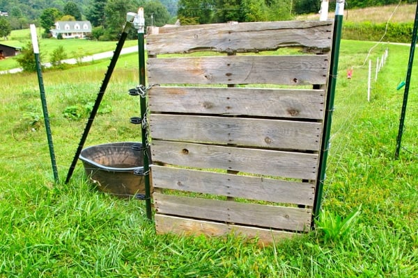 From Neglected to Necessary: Reviving Your Home...