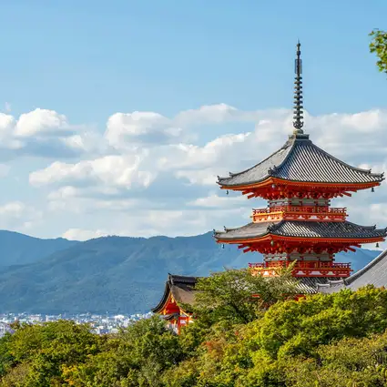 Kyoto Cherry Blossoms