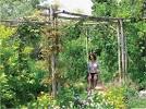 field cover crops wildflowers pollinators