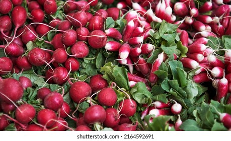 Bunch radishes