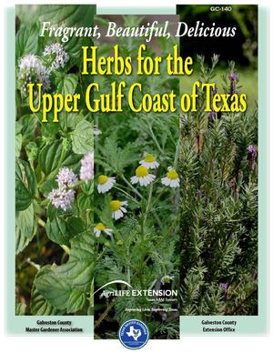 hand drawn garden plan notebook herbs