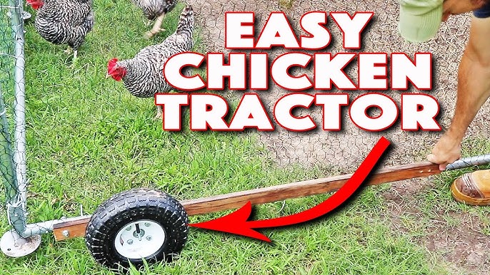 Hinged roof on a chicken tractor