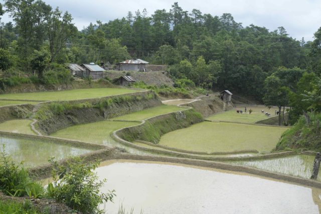 An innovative water system