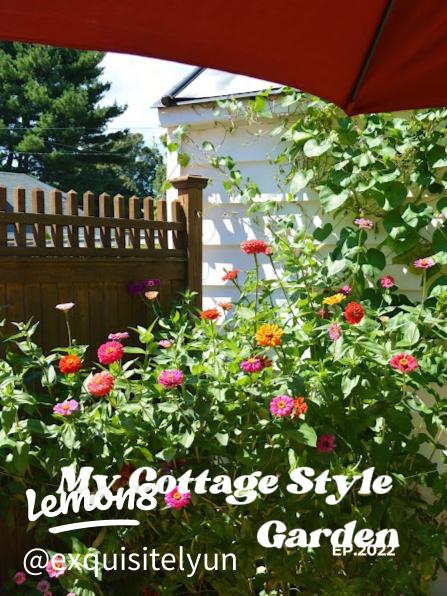 Cultivating Your Cottagecore Kitchen Garden: Be...