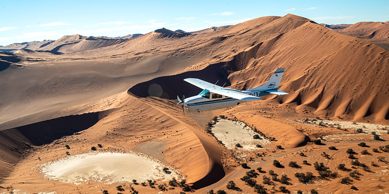 Skeleton Coast wildlife photography tour operator