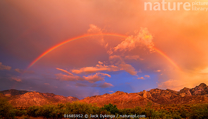A Toyota Land Cruiser at a 45-degree angle on a dune crest, dust billowing. Alt text: Toyota Land Cruiser dune bashing in Oman's Empty Quarter, showcasing the thrill of off-roading in the Arabian Desert.