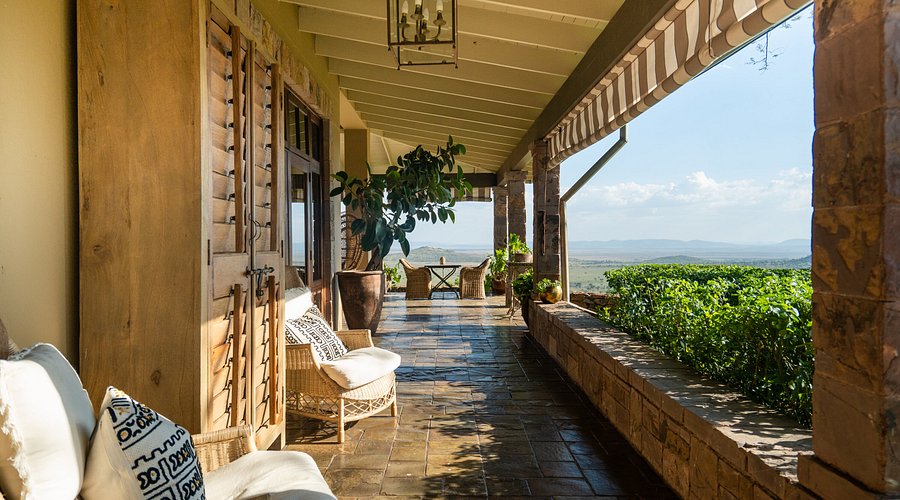 Person in the infinity pool overlooking the Serengeti, with a herd of elephants in the distance
