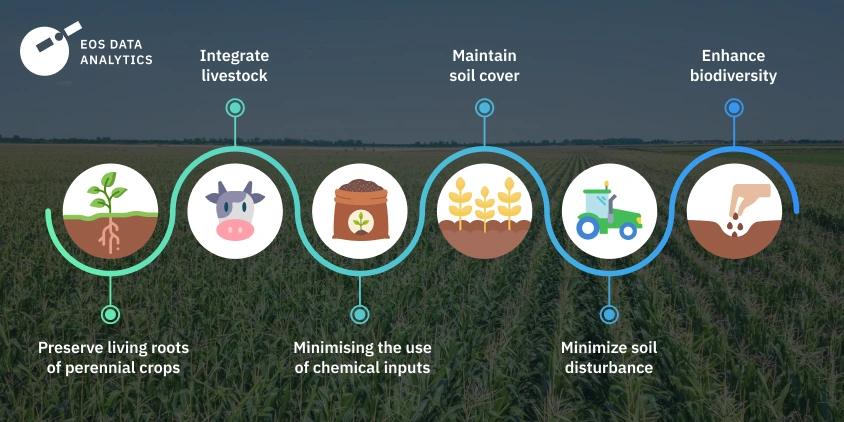 A diagram illustrating the key principles of regenerative agriculture, including minimizing soil disturbance, diversifying crops, keeping the soil covered, integrating livestock, and enhancing biodiversity