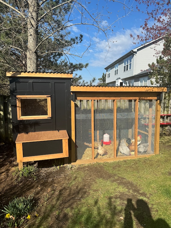 A chicken coop with a roosting bar and bedding