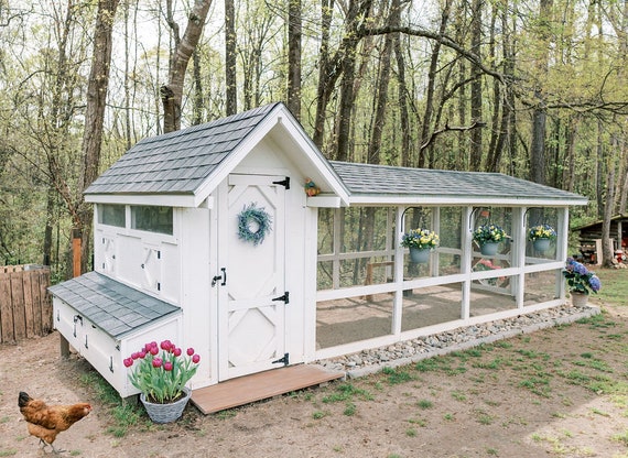 From Cluck to Comfort: Building a Budget-Friend...
