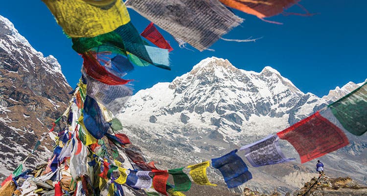 Participants building a lean-to shelter in a wooded area, demonstrating the practical skills learned during the Annapurna Circuit survival course