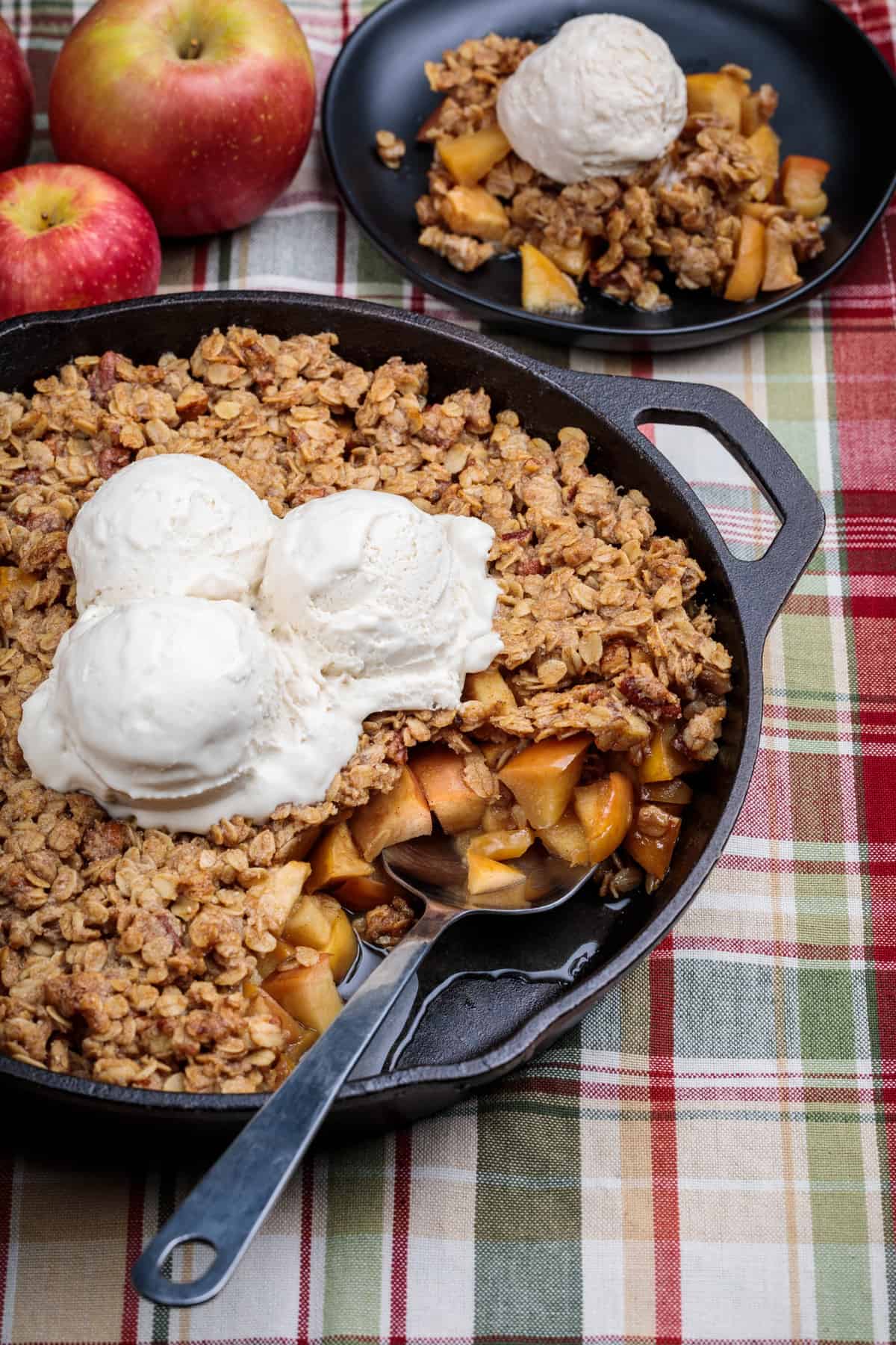Smiling family enjoying apple crisp outdoor table
