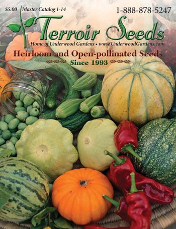 Planting Dreams: A Seed Starting Journal Holiday T...