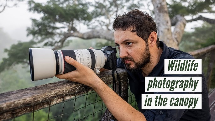 # Awakening to the Amazon: A Wildlife Photographer...