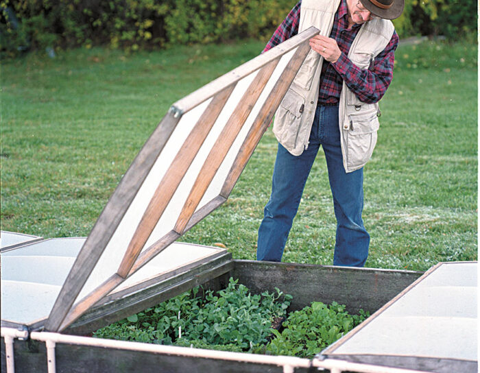 Cold frame on a homestead