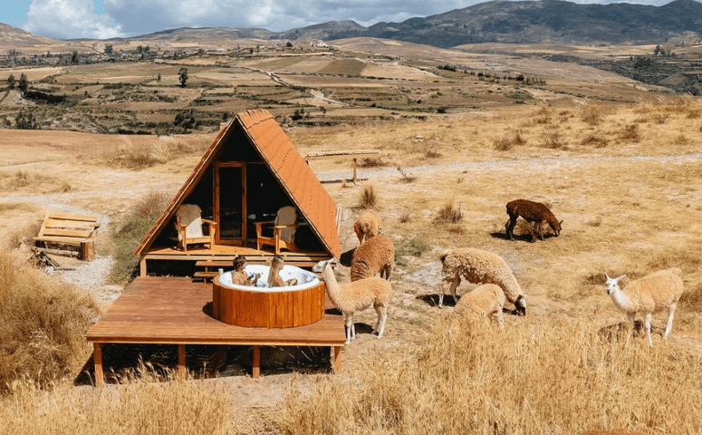 ## Lost in Paradise: My Unforgettable Escape to a...