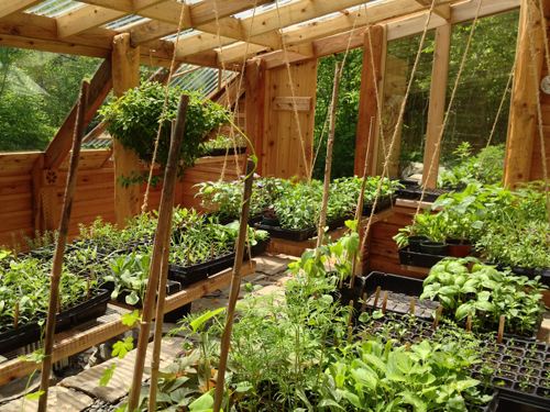 A well-organized compost bin made from wooden pallets, demonstrating sustainable waste management.