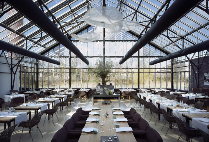 Ava Sterling's perspective of the intimate inner courtyard garden with climbing vines and seating areas