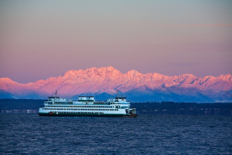 A vibrant sunrise over the Olympic Mountains from Hurricane Ridge, showcasing pink and orange alpenglow on the snow-capped peaks.