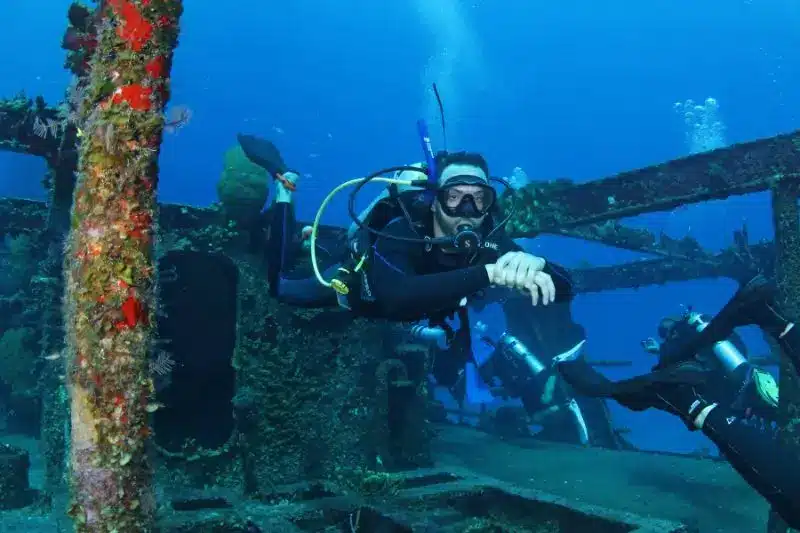 # Surf and Marine Life Encounters: Where Waves Mee...