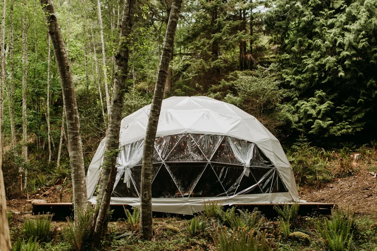 The Redwood Canopy Treehouse amid the redwoods