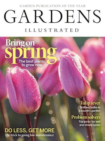 7 Easy Ways to Attract Pollinators and Boost Yo...