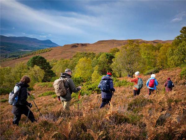 Traditional Scottish meal