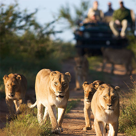 Alex arriving at the airstrip, camera in hand, with the vast savanna in the background.